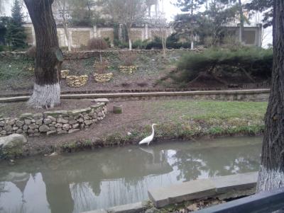 Прикрепленное изображение: IMG20160211085808.jpg